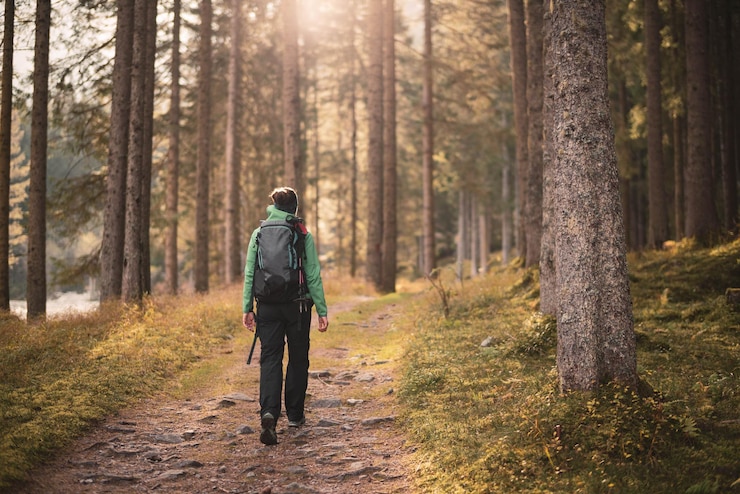 Foto vista posteriore di una donna che cammina sul sentiero tra gli alberi della foresta