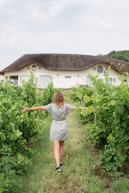 Vista posteriore di una donna in abito estivo che cammina attraverso il vigneto