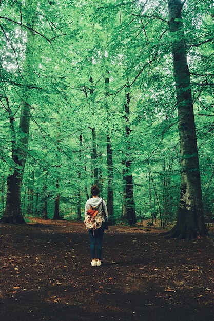 Vista posteriore di una donna in piedi accanto a un albero nella foresta