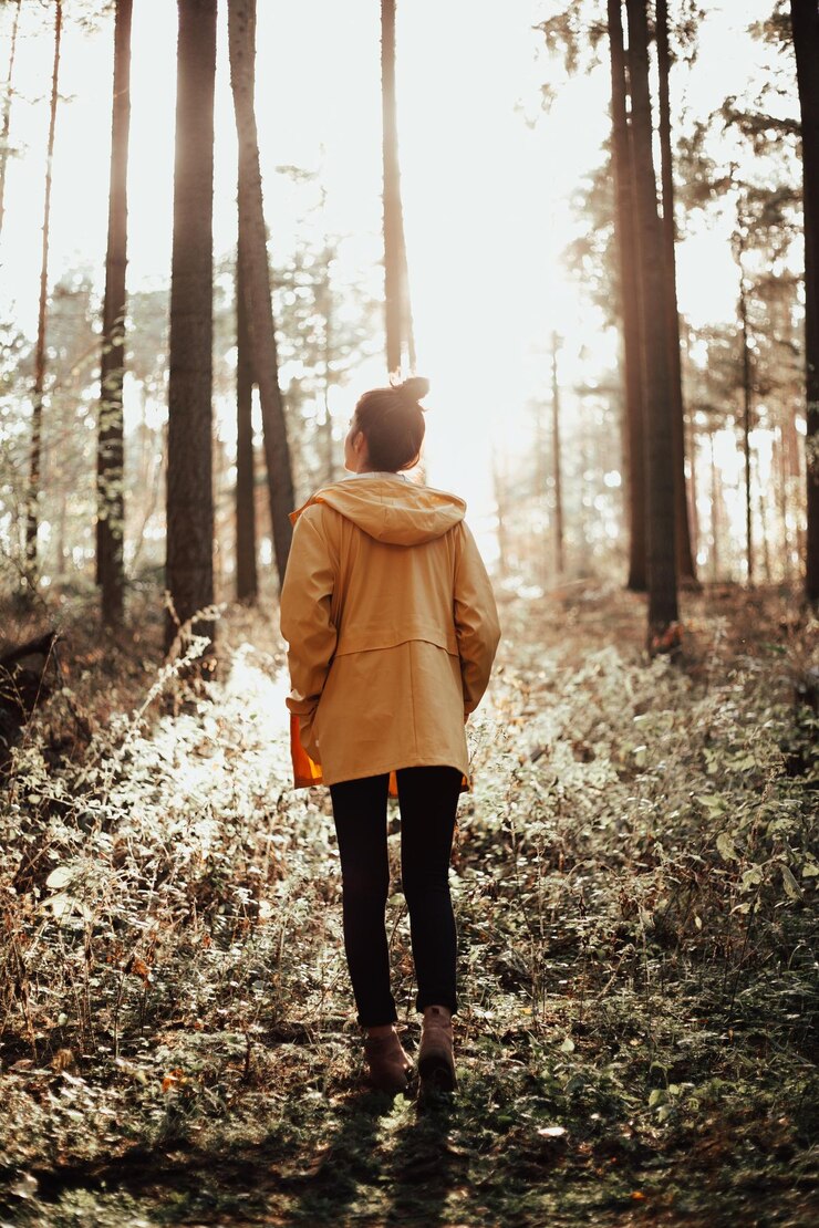 Foto vista posteriore di una donna in piedi nella foresta