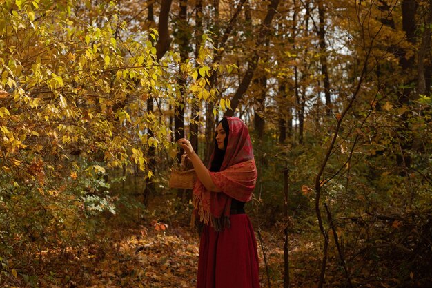 Vista posteriore di una donna in piedi nella foresta