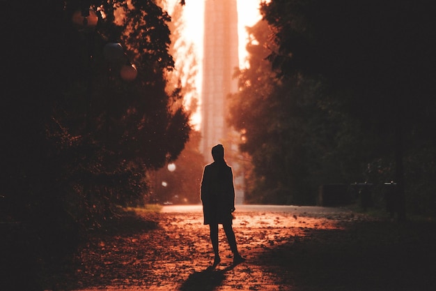 Vista posteriore di una donna in piedi sul sentiero in città durante il tramonto
