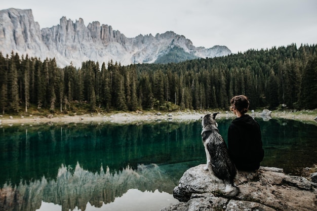 Vista posteriore di una donna seduta con il cane vicino al lago nella foresta