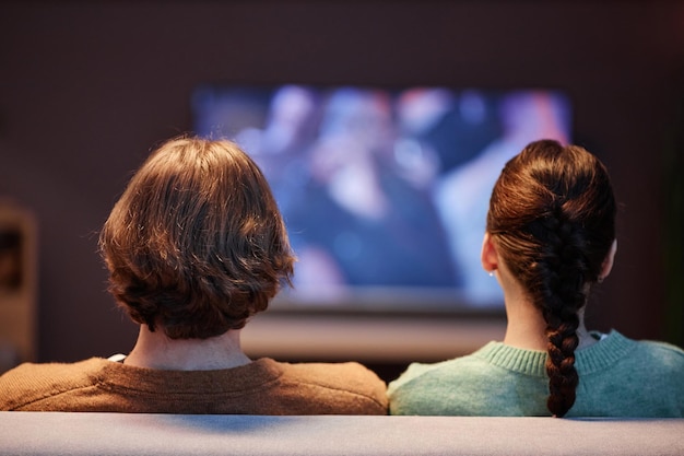 Vista posteriore di una giovane coppia che guarda la tv insieme a casa