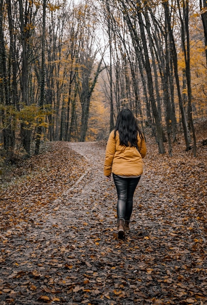 Vista posteriore di una giovane donna con una giacca gialla che cammina sul sentiero della foresta in autunno.