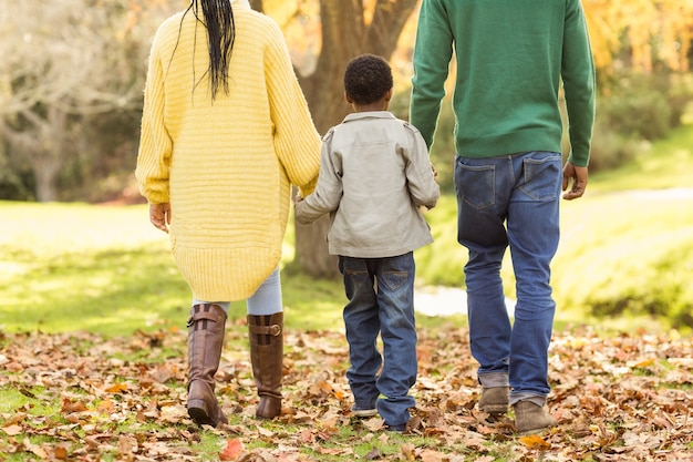 Vista posteriore di una giovane famiglia