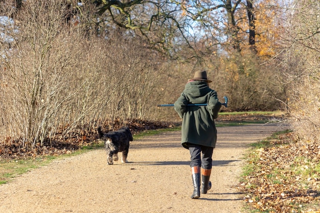 Vista posteriore di una persona che cammina con il cane sul sentiero tra gli alberi nudi