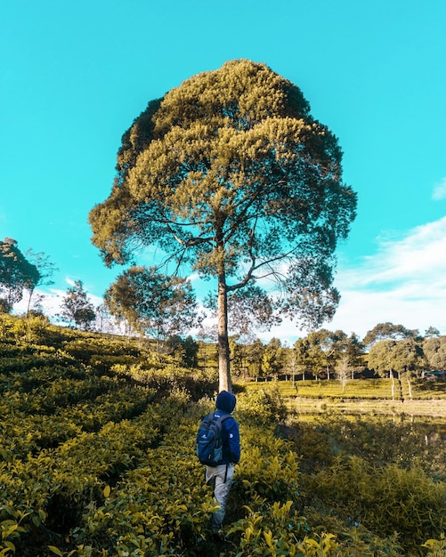 Vista posteriore di una persona in piedi sul campo contro il cielo