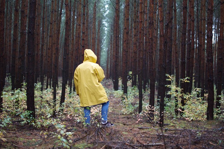 Foto vista posteriore di una persona in piedi tra gli alberi della foresta