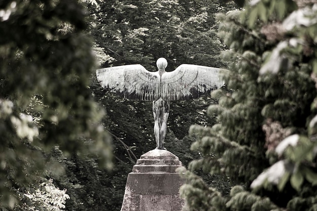 Vista posteriore di una statua alata contro gli alberi