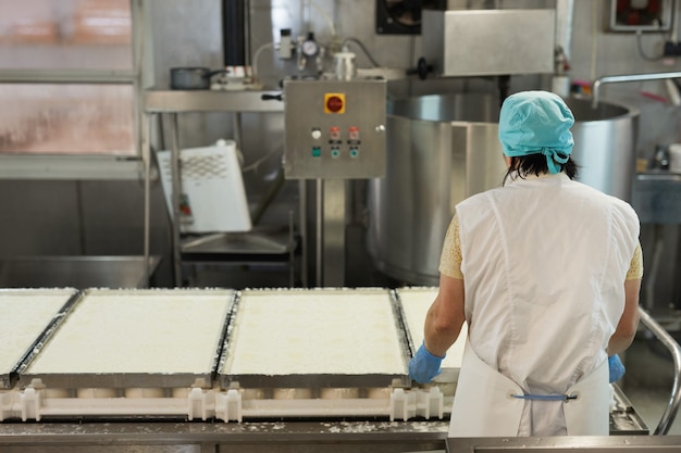 Vista posteriore ritratto di lavoratrice che forma formaggio nella fabbrica di produzione lattiero-casearia, copia spazio