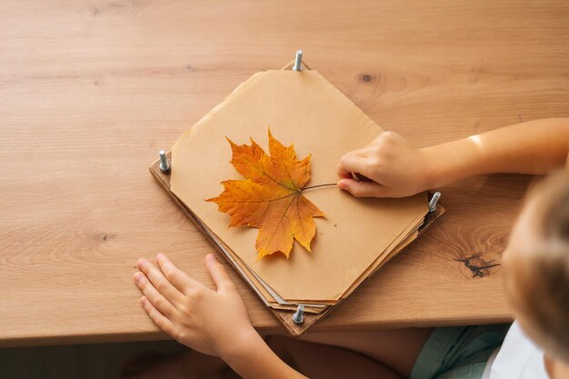 Vista ravvicinata ad alto angolo di una bambina irriconoscibile che tiene una bella foglia d'acero secca per creare erbario fai da te a casa. Colpo ritagliato del primo piano della pianificazione del bambino che crea opere d'arte dalle foglie.