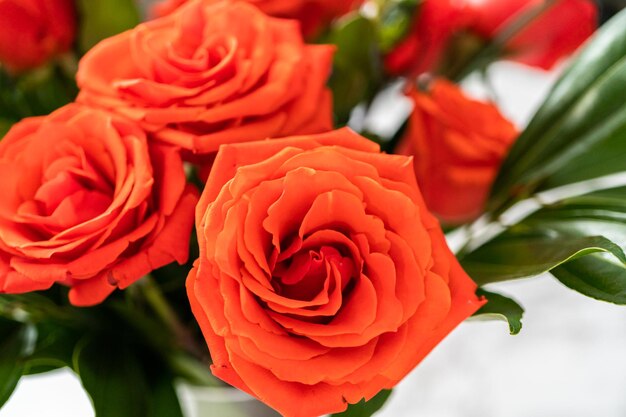 Vista ravvicinata. Bouquet di rose rosse con foglie verdi in un vaso di vetro.