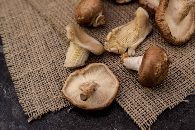 Vista ravvicinata degli funghi ad alto angolo