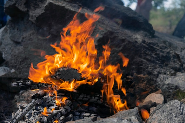 Vista ravvicinata del fuoco, legna ardente e griglia vuota