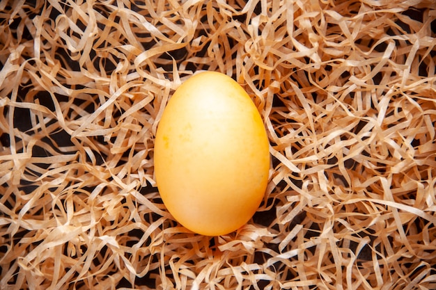 Vista ravvicinata dell'uovo marrone chiaro deposto su paglia gialla con spazio libero free
