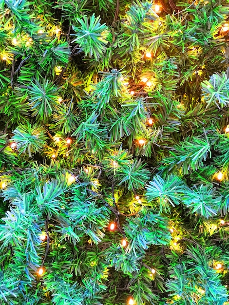 Vista ravvicinata della struttura dell'albero di Natale verde con ornamenti