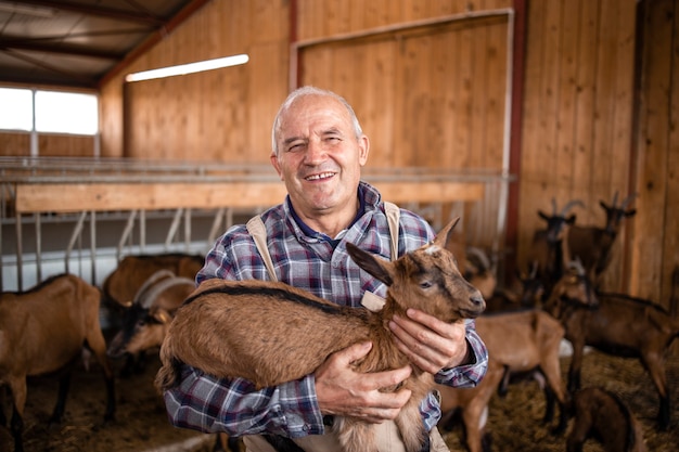 Vista ravvicinata di un anziano lavoratore agricolo o allevatore di bestiame che tiene capretto in fattoria