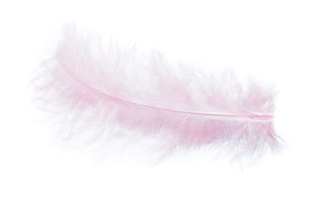 Vista ravvicinata di una piuma rosa su sfondo bianco.