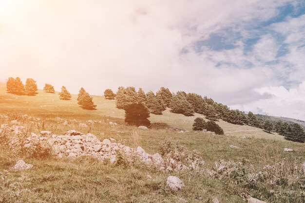 Vista ravvicinata scene di foresta e montagne nel parco nazionale Dombai, Caucaso, Russia, Europa. Paesaggio estivo, tempo soleggiato, cielo azzurro drammatico e giornata di sole