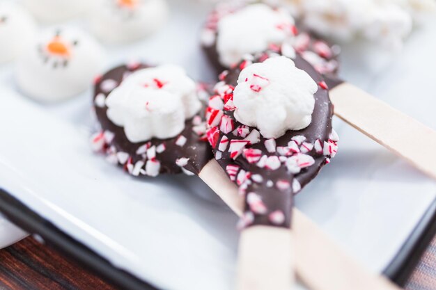 Vista ravvicinata. Varietà di guarnizioni di marshmallow con menta piperita e cioccolato per cioccolata calda e bevande al cacao.