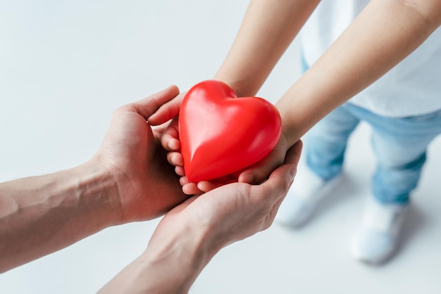 Vista ritagliata del bambino adottato e del genitore che tiene il cuore rosso su bianco