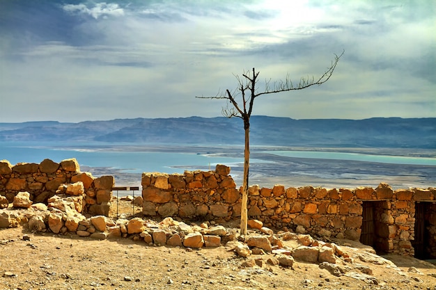 Vista scenica del supporto di Masada nel deserto di Judean vicino al mar Morto, Israele.