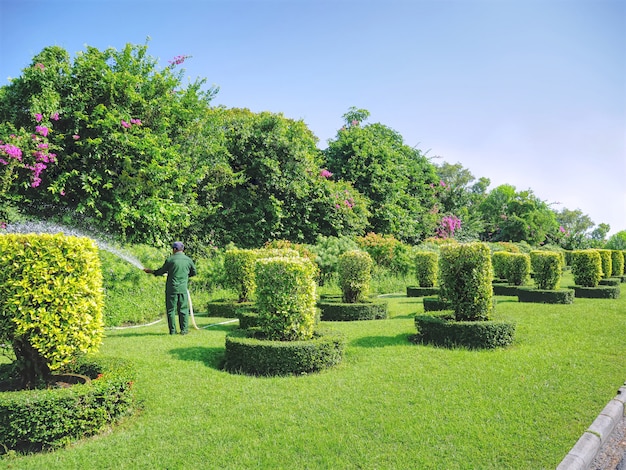 Vista scenica nel parco con le piante di innaffiatura del giardiniere