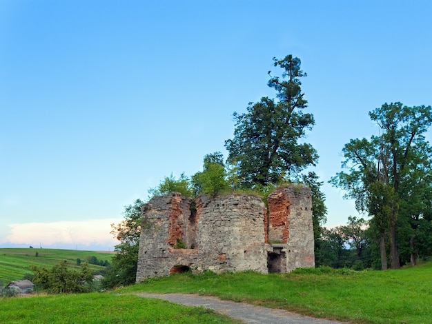 Vista serale estiva della torre diroccata del castello di Svirzh (Oblast' di Leopoli, Ucraina. Costruito nel XV-XVII secolo.)