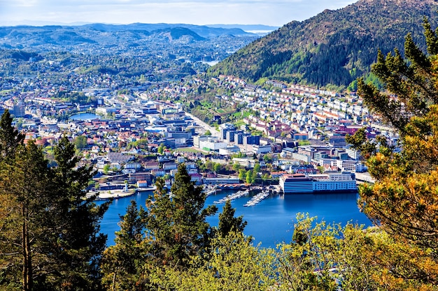 Vista su Bergen e sul lago dalla cima della montagna