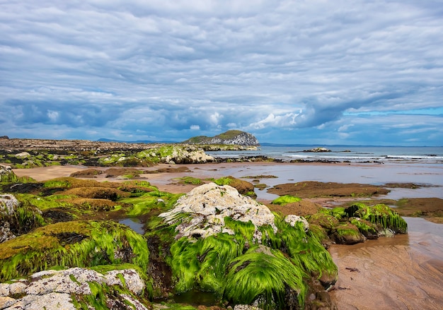 Vista su Craigleith Island con splendide nuvole, North Berwick, Scozia. mare del Nord