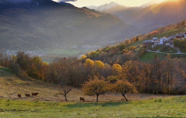 Vista su pascolo con villaggio alpino in collina sotto il sole al tramonto