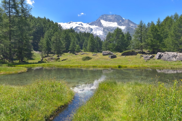 Vista su un fiume in una valle verde con vista sulla foresta e ghiacciaio in estate