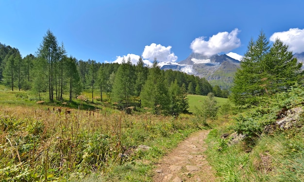 Vista su un sentiero che attraversa un parco nazionale francese alpino