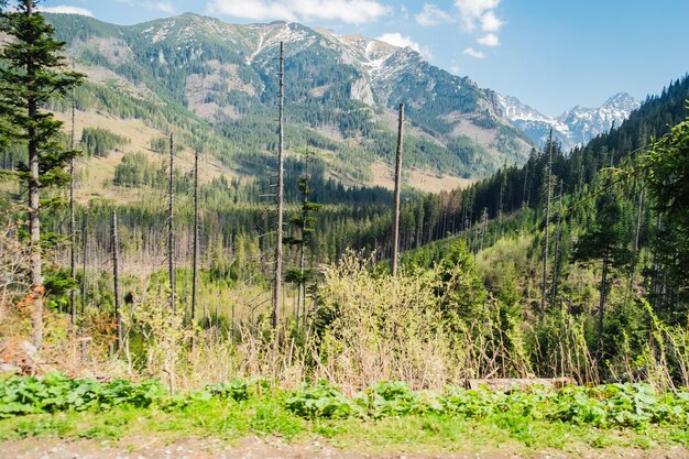 Vista sui Monti Tatra