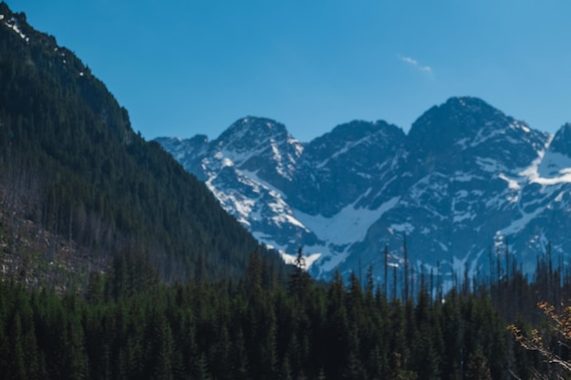 Vista sui Monti Tatra