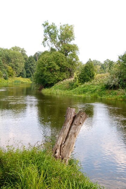 Vista sul bellissimo fiume e foresta