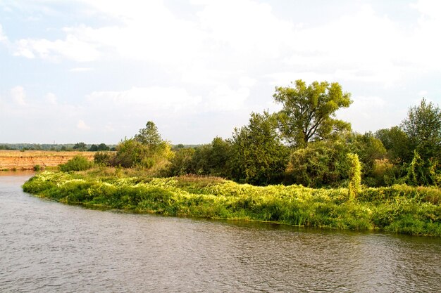 Vista sul bellissimo fiume e foresta