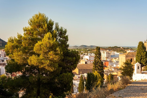 Vista sul centro storico dalla collina circondata da campi, alberi e montagne