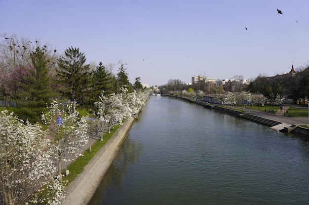 Vista sul fiume Bega in romania