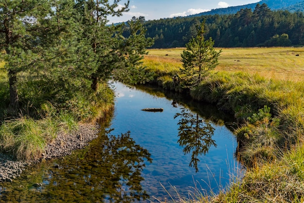 Vista sul fiume Crni Rzav sul monte Zlatibor in Serbia