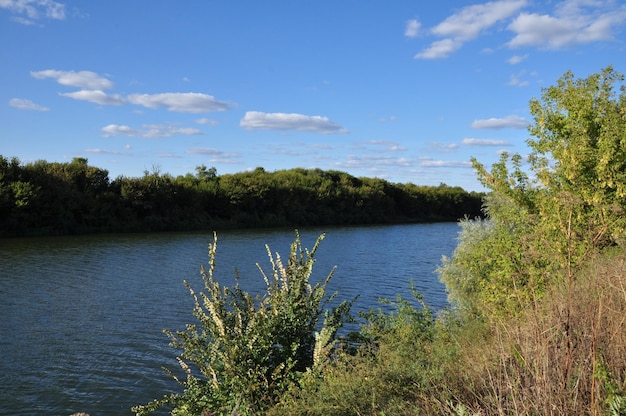 Vista sul fiume e sulle rive alberate. Panorama del fiume. Giornata di sole in natura.