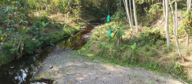 Vista sul fiume nel pomeriggio presa da lontano