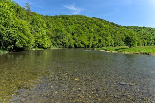 Vista sul fiume Semoise nelle Ardenne belghe