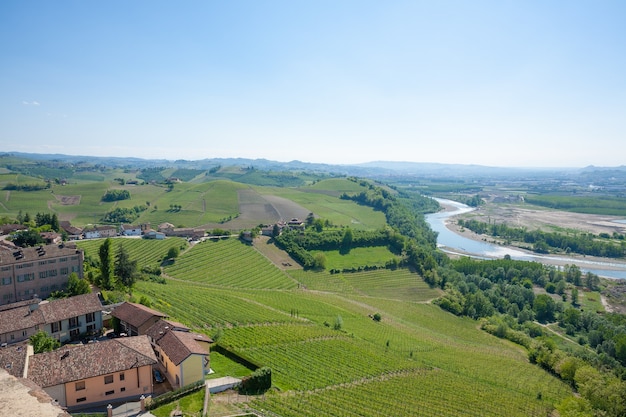 Vista sul fiume Tanaro. Vigneti delle Langhe, agricoltura italiana