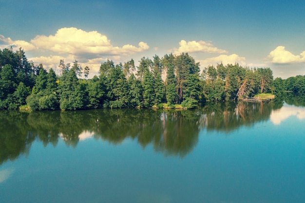 Vista sul lago calmo nella foresta Bella natura selvaggia