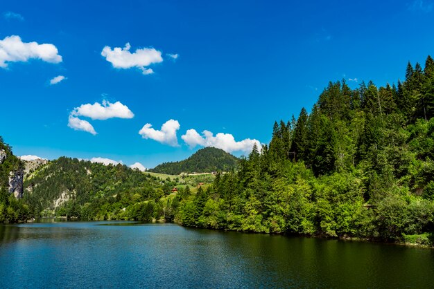 Vista sul lago Zaovine in Serbia