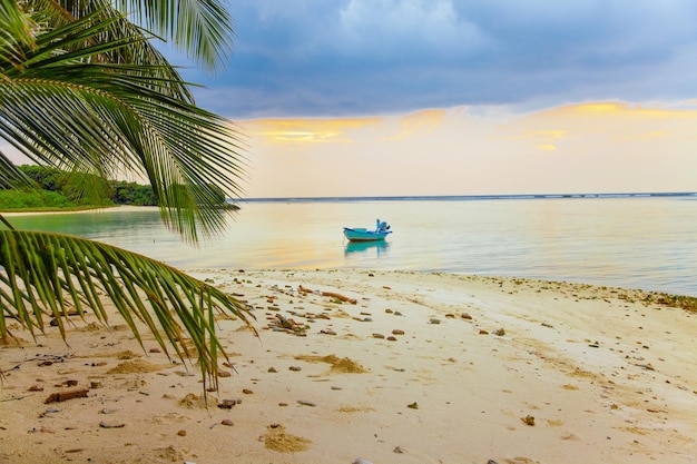 Vista sul mare al tramonto delle Maldive con barca e foglie di palma