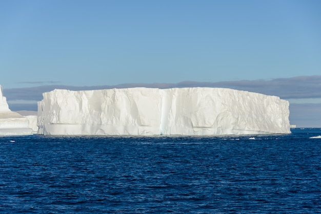 Vista sul mare antartica con iceberg