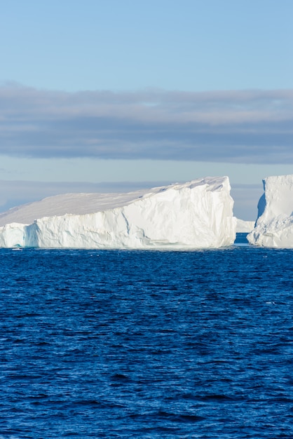 Vista sul mare antartica con iceberg